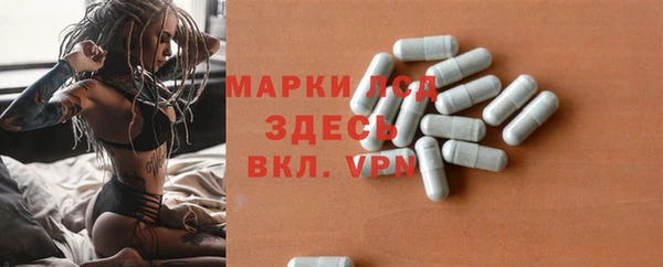ГАЛЛЮЦИНОГЕННЫЕ ГРИБЫ Абаза