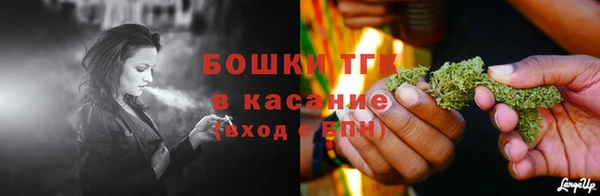 ГАЛЛЮЦИНОГЕННЫЕ ГРИБЫ Абаза