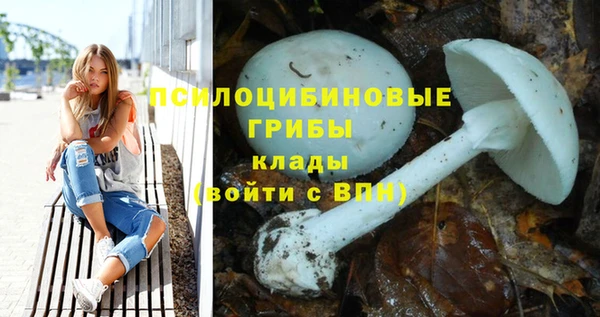 ГАЛЛЮЦИНОГЕННЫЕ ГРИБЫ Абаза