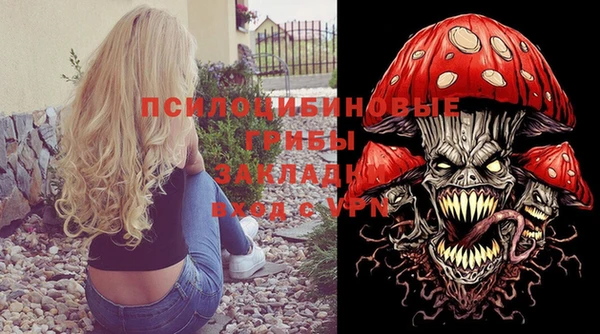 ГАЛЛЮЦИНОГЕННЫЕ ГРИБЫ Абаза