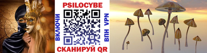 Псилоцибиновые грибы Psilocybine cubensis  закладки  Усолье 